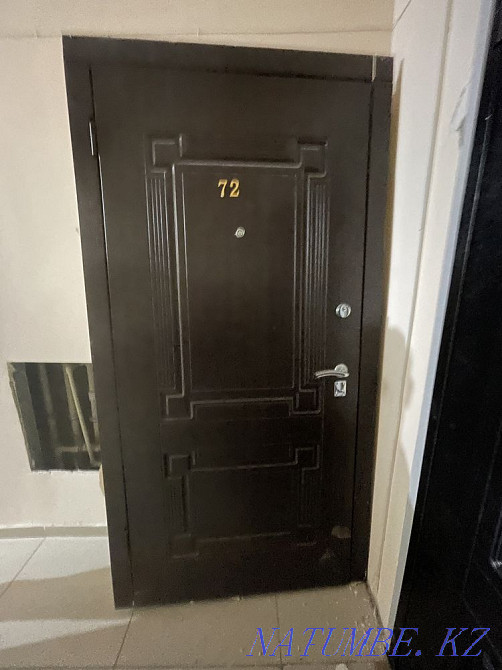 Entrance door Almaty - photo 1