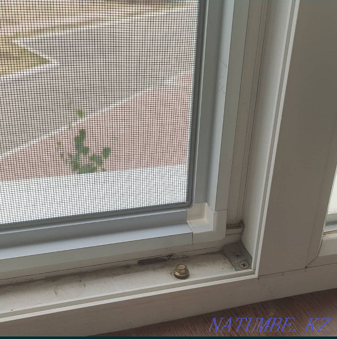 Mosquito nets from 5 thousand Astana - photo 3