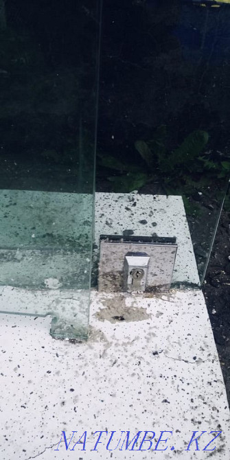 Двери стеклянные Павлодар - изображение 2