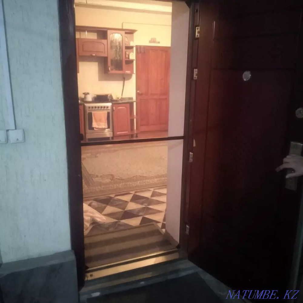 Mosquito nets, mosquito net, mosquito door, child lock Almaty - photo 6