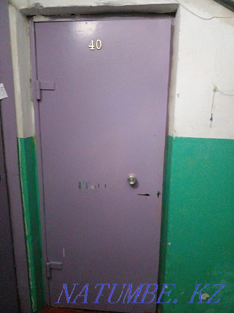 Железная дверь в хорошем состоянии Павлодар - изображение 2
