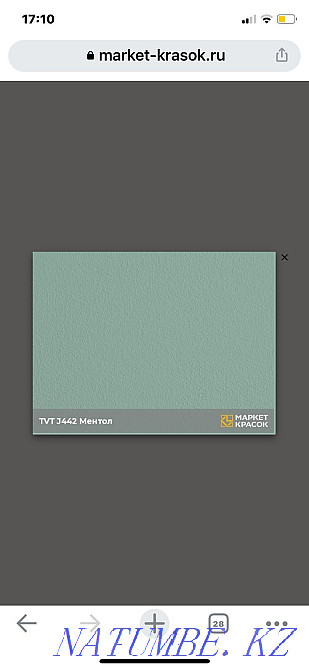 Sell paint Bindo 3, Dulux Professional 4.5 liters, J442 Pavlodar - photo 3