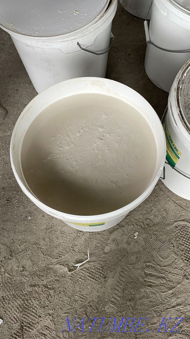 Fire retardant paint KEDR S BM Astana - photo 2