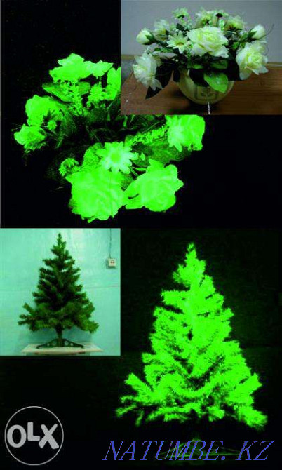 Luminous бояулары Luminophor Almaty, Қазақстан және Ресей бойынша жеткізу  Алматы - изображение 2