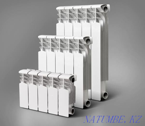 Bimetallic radiators FORZA BASE 500/80, 350/80, 300/100 Astana - photo 1