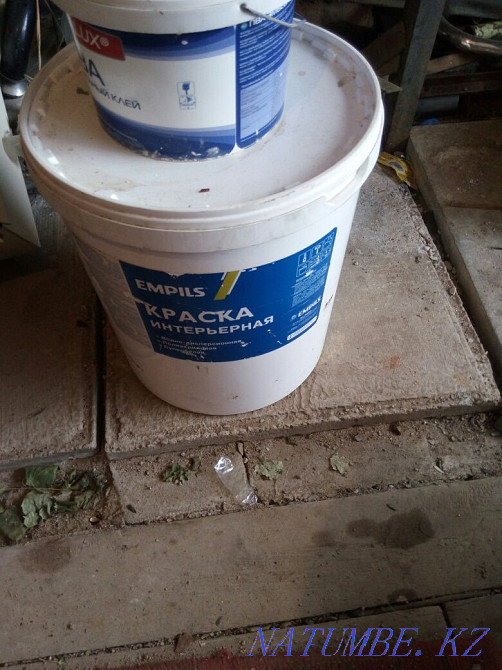 Polyacrylic paint Stepnogorskoye - photo 2