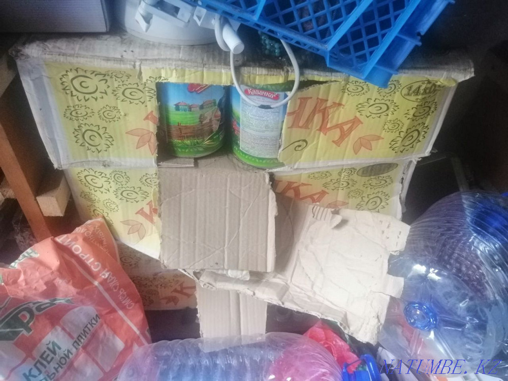 Sell black and yellow paints Aqtobe - photo 3