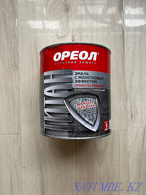 Metal paint Astana - photo 1