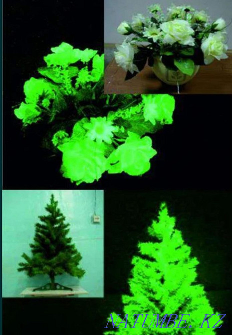 Luminous Powder Phosphor Astana - photo 3