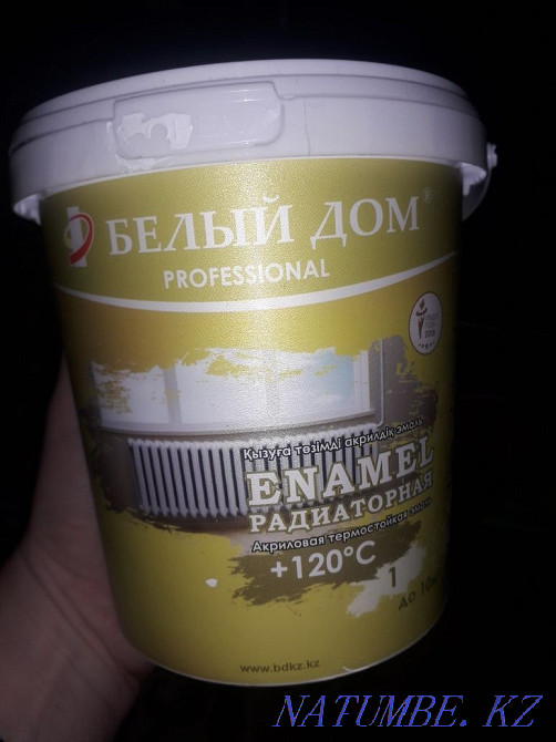 New odorless acrylic paint. Oral - photo 1