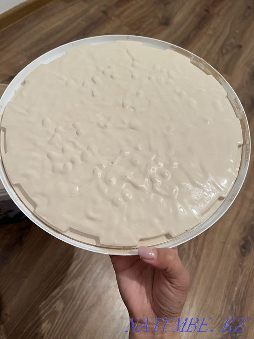 Колерованная Эмульсия Астана - изображение 4