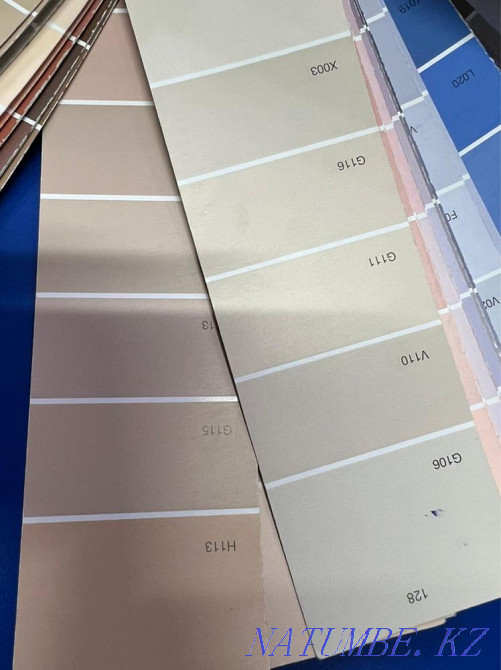 Колерованная Эмульсия Астана - изображение 2