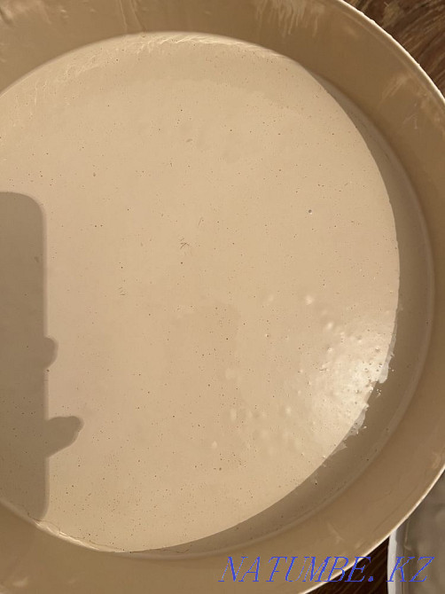 Колерованная Эмульсия Астана - изображение 3