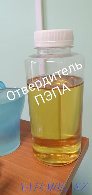 Отвердитель Пэпа и Тэта Астана - изображение 2