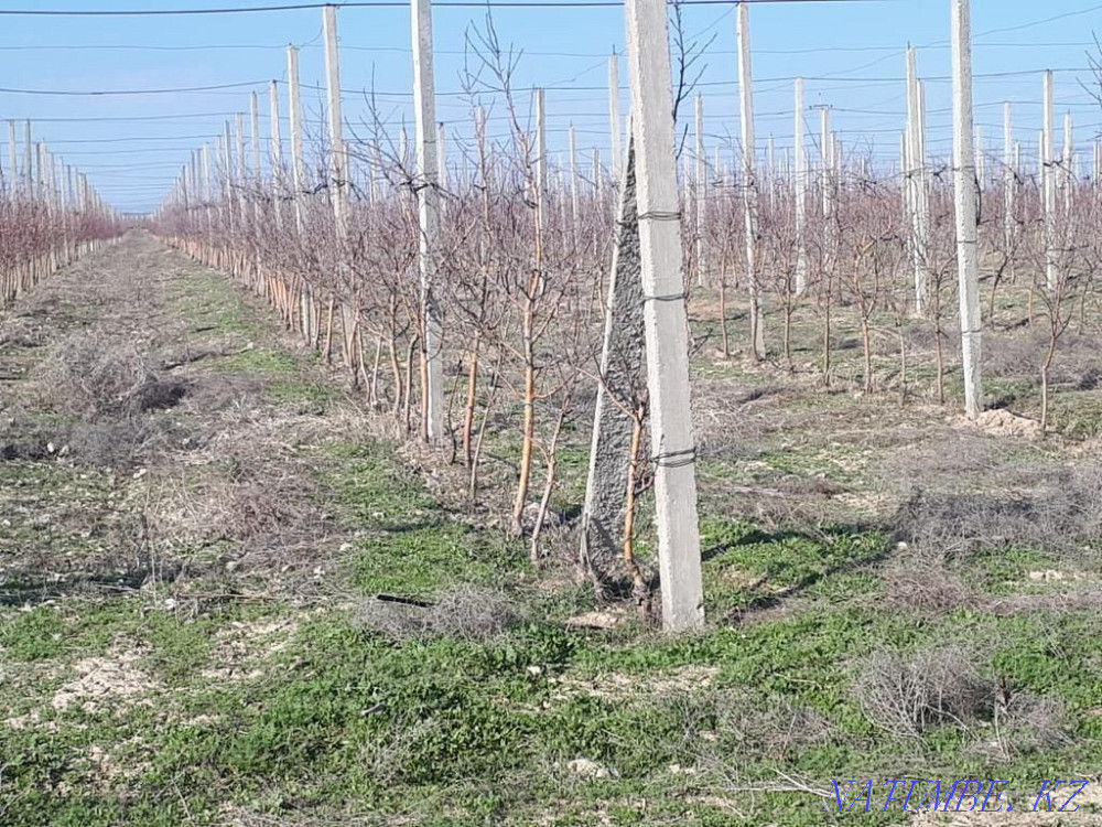 Tapestry. Concrete stand. Fencing. Rack. Stepchildren.Fence Shymkent - photo 1
