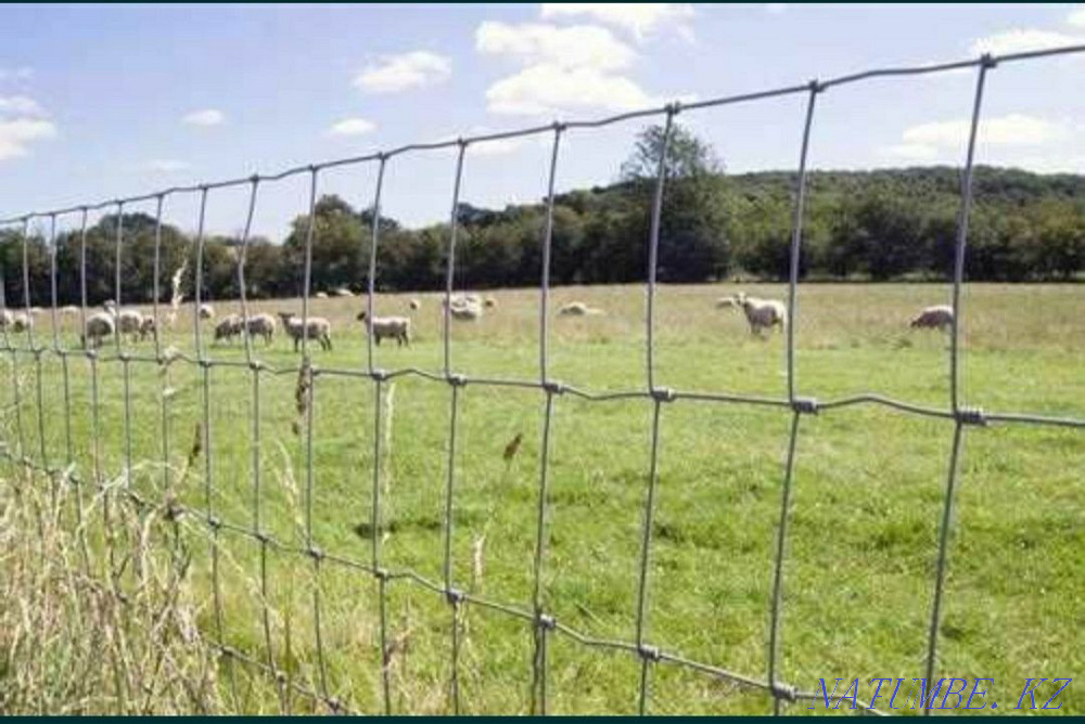 Сетка шарнирная (высота 1.3м, длина 50м) Актобе - изображение 1