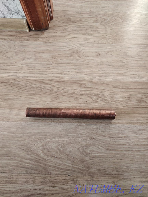 Кругляк медный... Павлодар - изображение 1