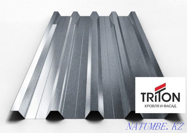 Алматыдағы кәсіби парақша! Жеткізу! Өлшемнің астында!  Алматы - изображение 4