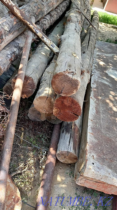 Бөренелер 10 дана сатылды  - изображение 2