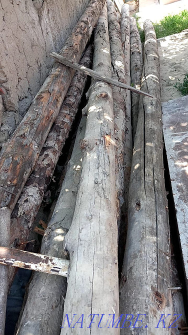 Бөренелер 10 дана сатылды  - изображение 6