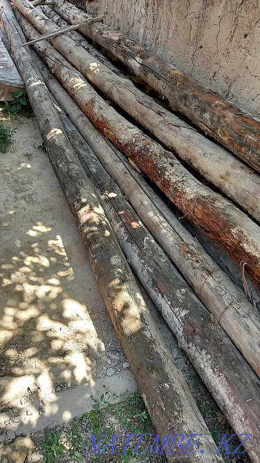 Бөренелер 10 дана сатылды  - изображение 1