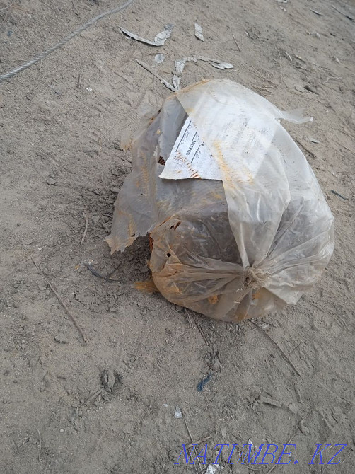 Прадам торлы срочина  Алматы - изображение 2