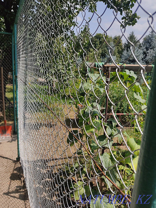 Рабитц. Сапа, кепілдік  Алматы - изображение 3