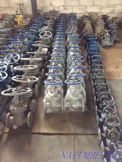 Задвижка стальная 30с64нж ду 300 ру25 Караганда - изображение 3