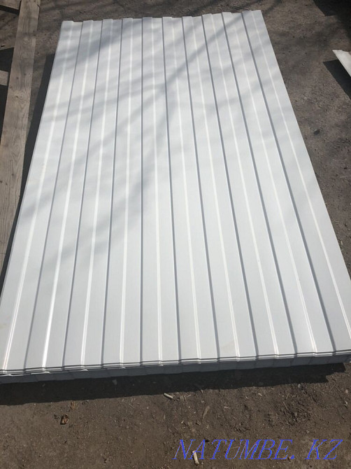 Профлист Астана - изображение 1