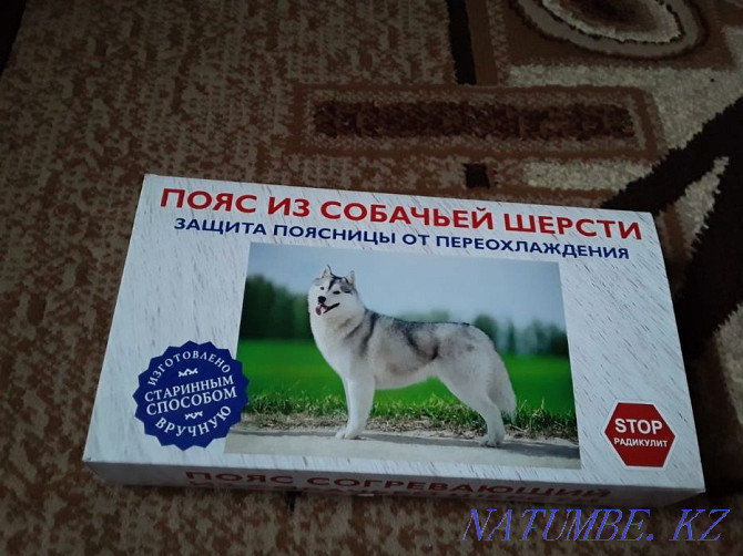 продам собачий лечебный пояс производство россия Петропавловск - изображение 1