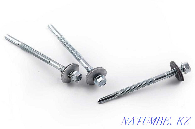 Anchors, self-tapping screws, dowels, rivets, fasteners for roofing and TSP Semey - photo 4