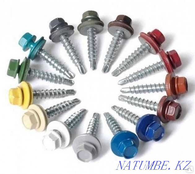 Anchors, self-tapping screws, dowels, rivets, fasteners for roofing and TSP Semey - photo 1