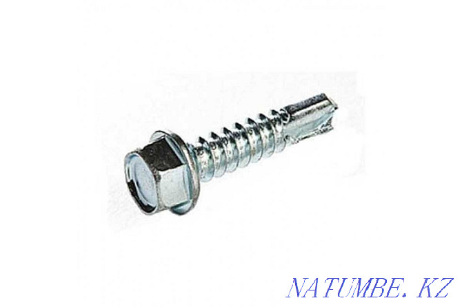 Anchors, self-tapping screws, dowels, rivets, fasteners for roofing and TSP Semey - photo 5