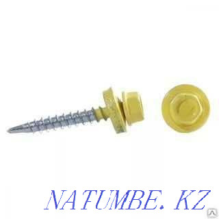 Anchors, self-tapping screws, dowels, rivets, fasteners for roofing and TSP Semey - photo 3