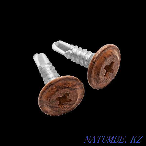 "DAXMER" - fasteners for roofing and TSP Karagandy - photo 6