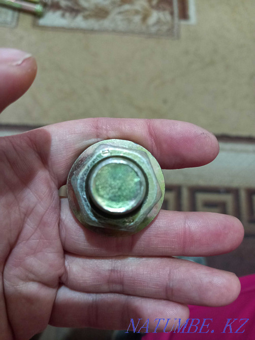 Анкерные болты 200*15 Костанай - изображение 5