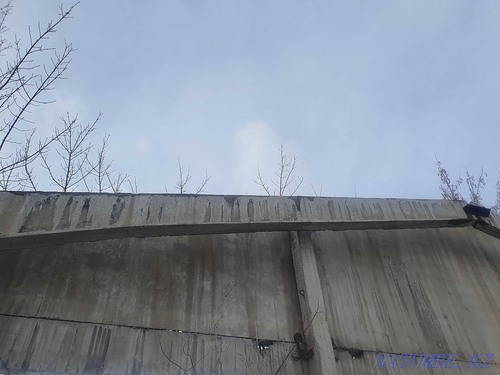 Продам клюшки бетонные РПС Отеген батыра - изображение 2