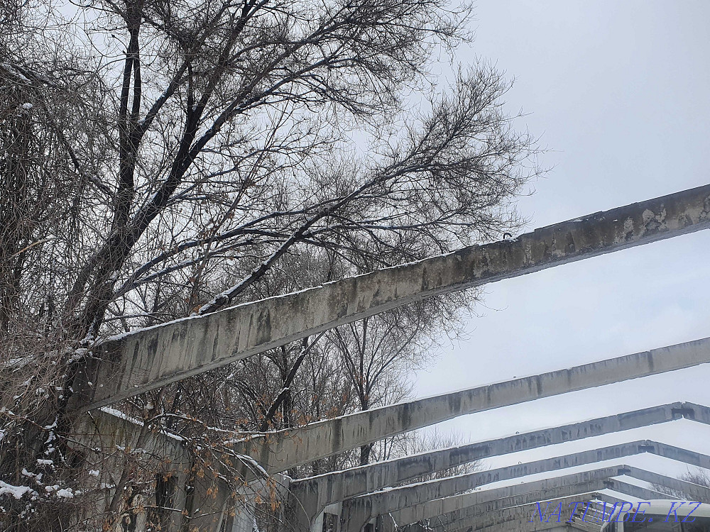 Продам клюшки бетонные РПС Отеген батыра - изображение 5