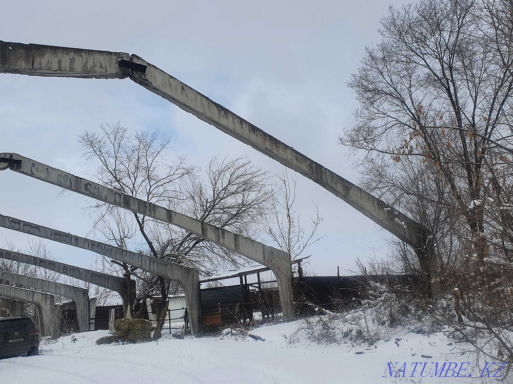 Продам клюшки бетонные РПС Отеген батыра - изображение 7