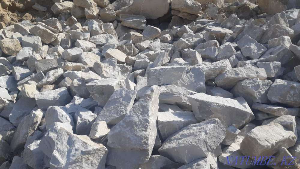 Блужник арзан багамен Шымкент - изображение 2