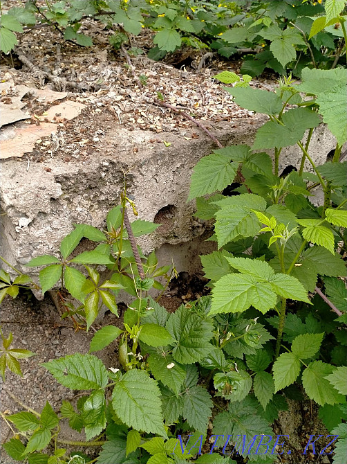 Продам сплиторблоки для крыши Черкасск - изображение 1