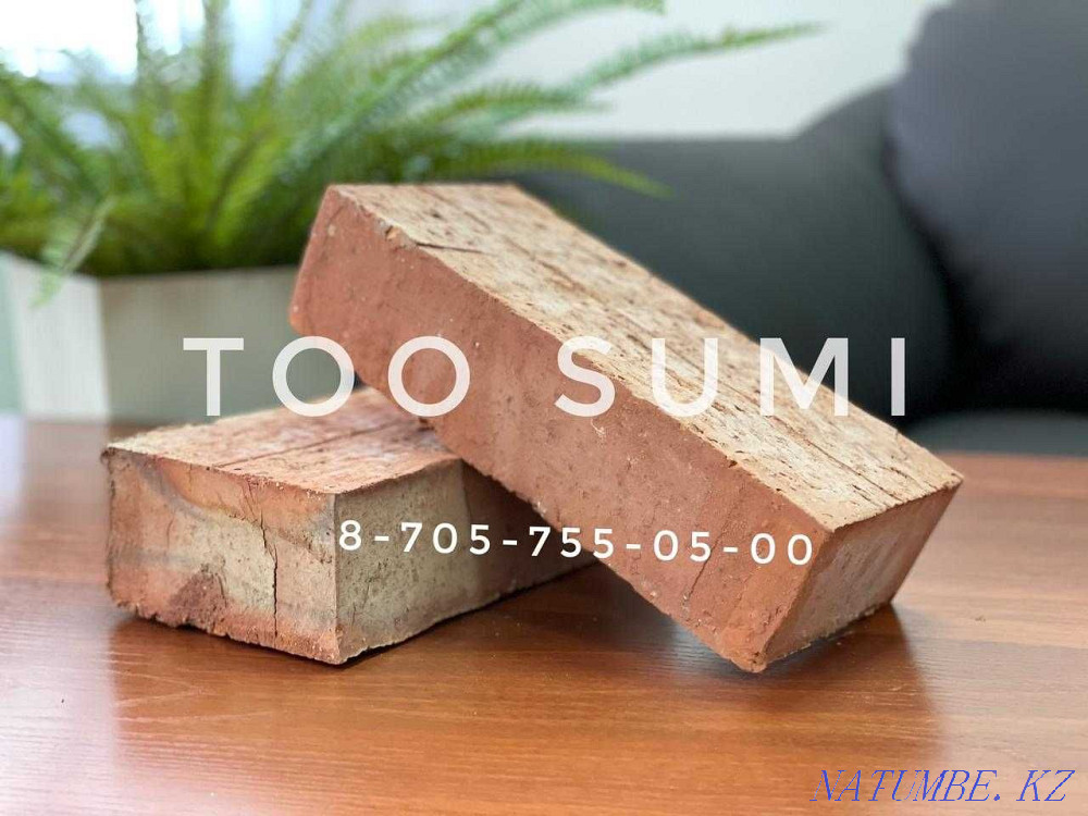 Кірпіш, жалғыз, бір жарым  Астана - изображение 3