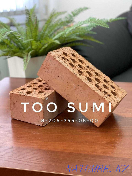 Кірпіш, жалғыз, бір жарым  Астана - изображение 2