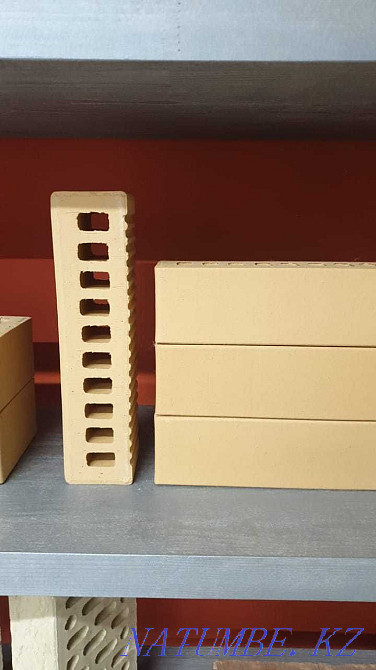 Brick Facing on the House  - photo 2