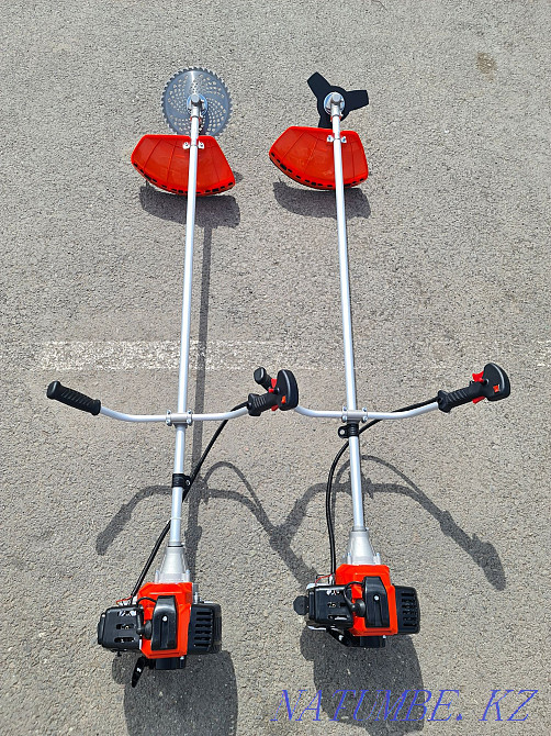 Trimmer petrol Astana - photo 1