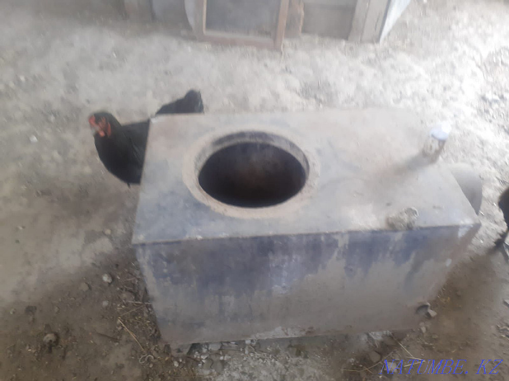 Pesh satyllladyy bagasy 30000 kelsemiz zhonnanan zhambul posekla kaskel Qaskeleng - photo 3