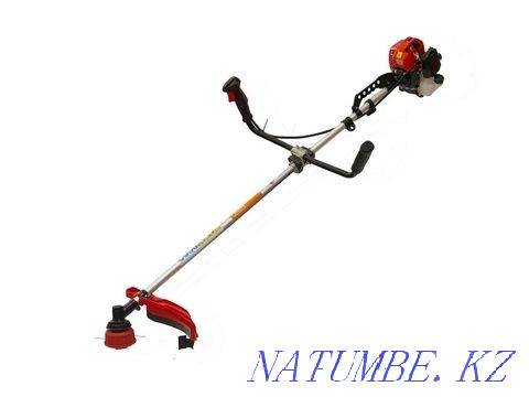 Lawn mower, trimmer, gas trimmer, lawn mower Aqtobe - photo 8