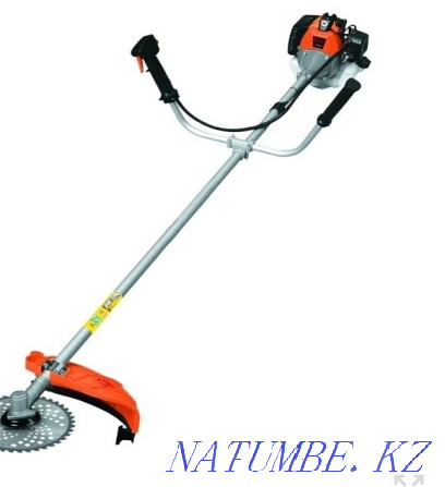 Used lawn trimmer Astana - photo 1