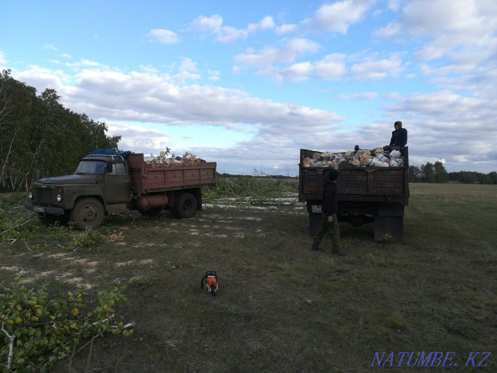 Бензопила штиль. Кокшетау - изображение 1