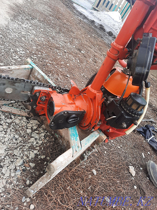 chainsaw friendship Ust-Kamenogorsk - photo 5